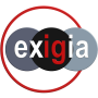 Exigia Company Logo based on the name